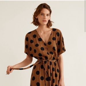 Tan Brown Polka Dot Dress